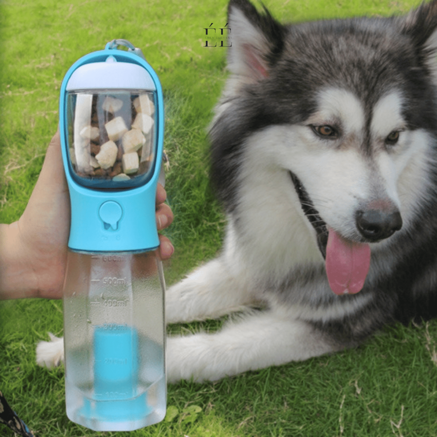 Gourde Multifonction 4-en-1 pour Animaux – Hydratation, Repas et Propreté en Toute Simplicité