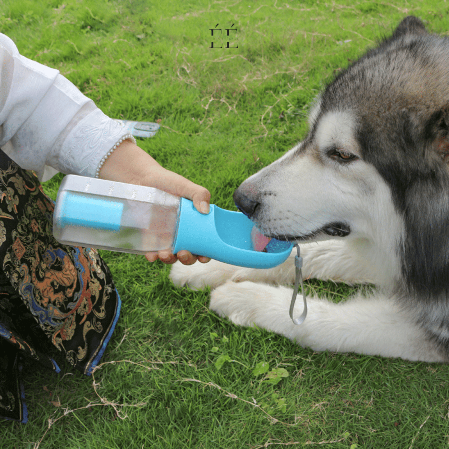 Gourde Multifonction 4-en-1 pour Animaux – Hydratation, Repas et Propreté en Toute Simplicité